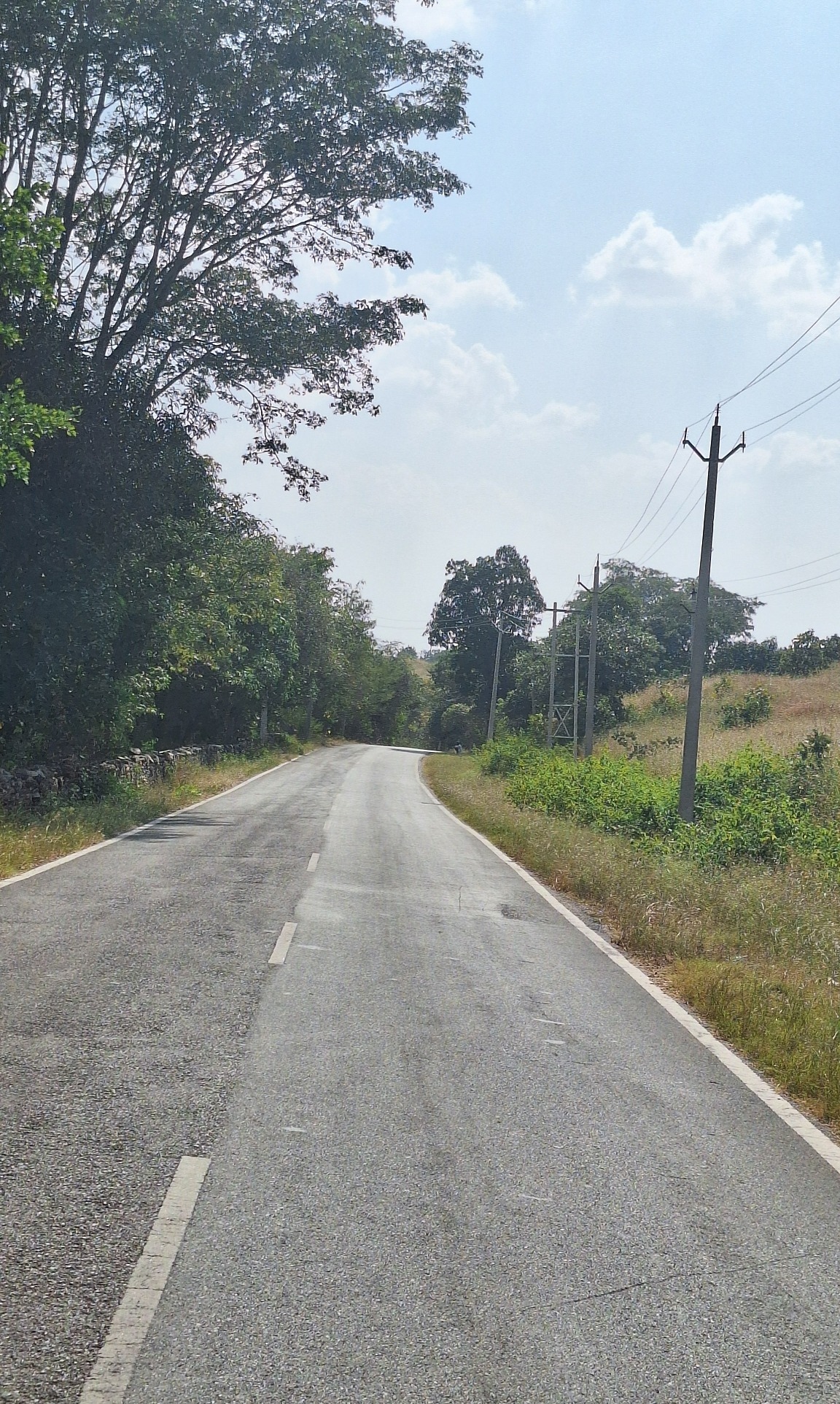 A rural paved road with trees, fields and power lines